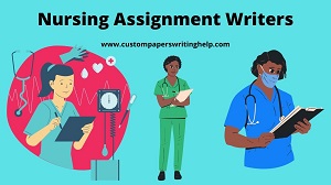 nursing assignment writers