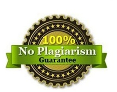 plagiarism removal service provider