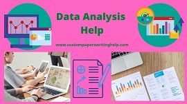 custom papers writing help | data analysis help